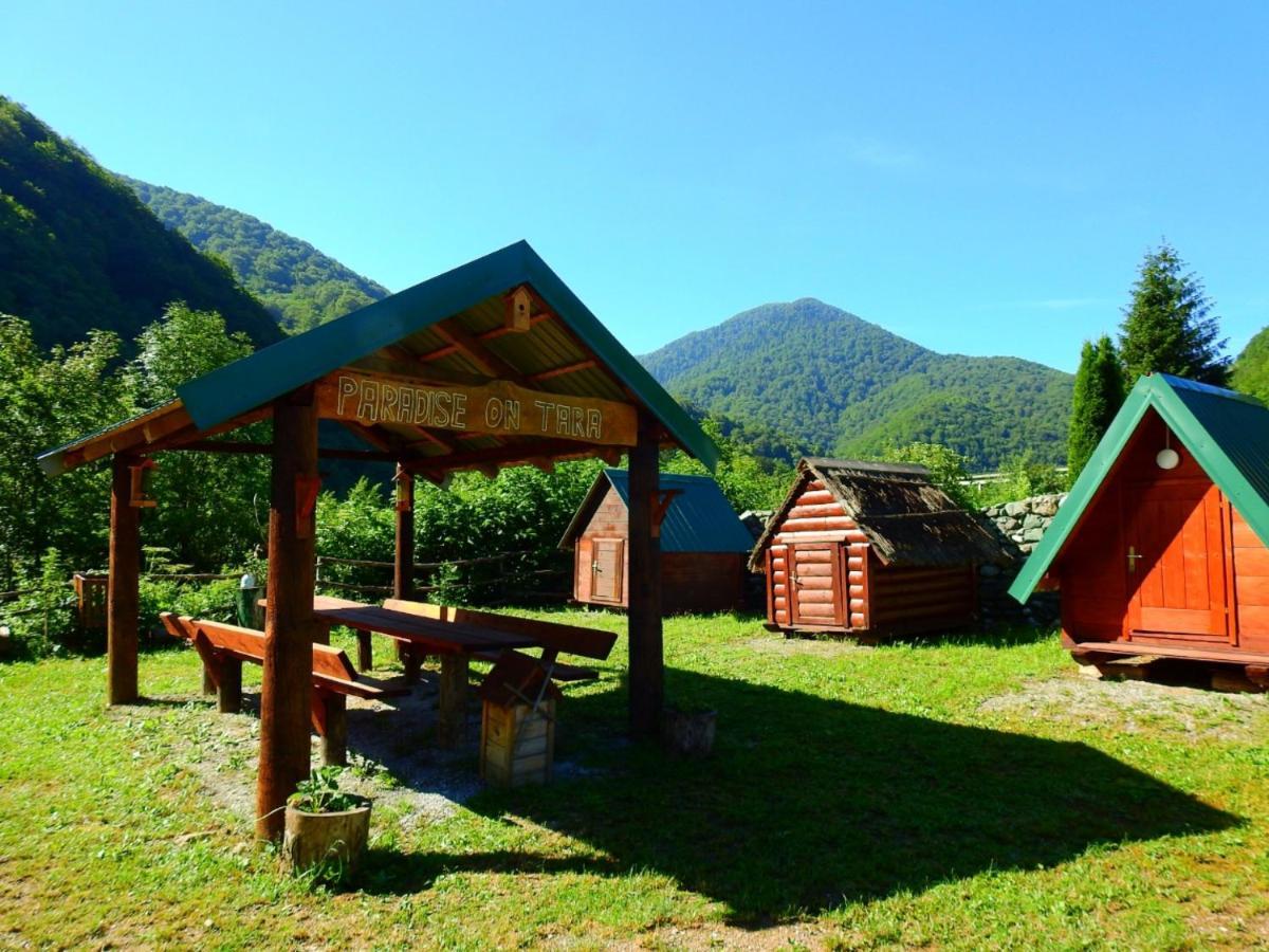 Private Accommodation Kalezic Mojkovac Ngoại thất bức ảnh