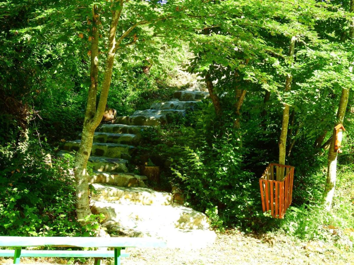 Private Accommodation Kalezic Mojkovac Ngoại thất bức ảnh