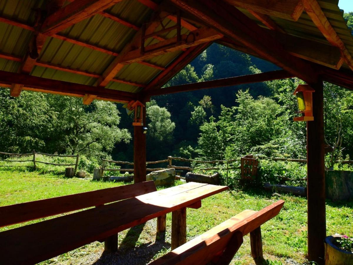Private Accommodation Kalezic Mojkovac Ngoại thất bức ảnh