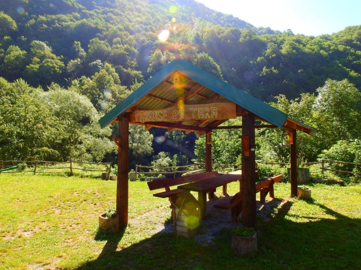 Private Accommodation Kalezic Mojkovac Ngoại thất bức ảnh