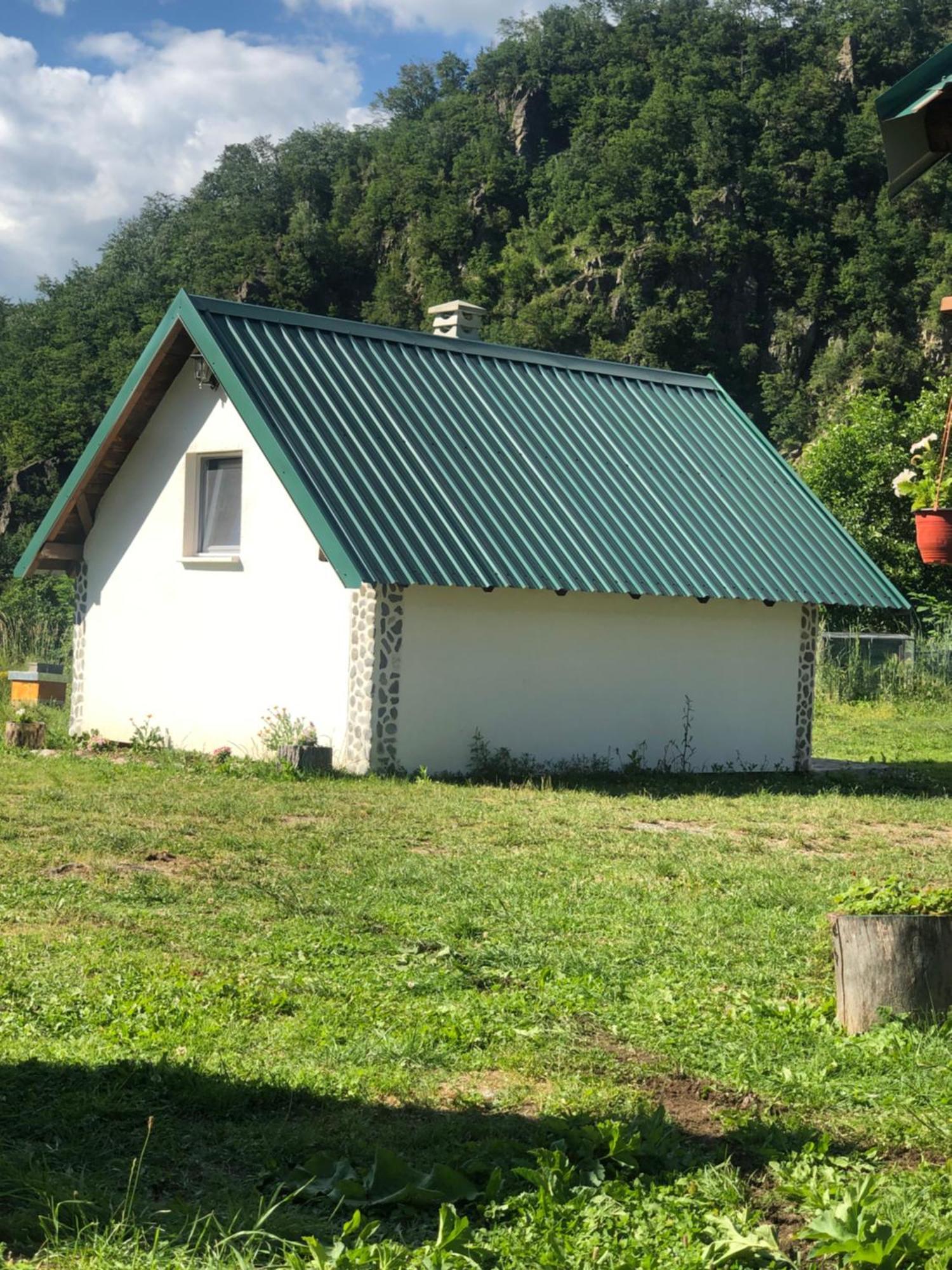 Private Accommodation Kalezic Mojkovac Ngoại thất bức ảnh